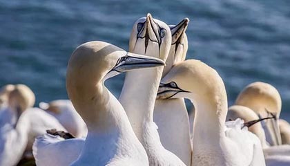 宁波男篮更新动态：刘晓宇新秀年06赛季的时候你几岁？