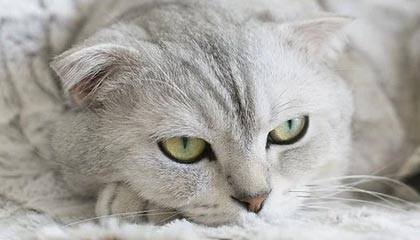 宁波男篮更新动态：刘晓宇新秀年06赛季的时候你几岁？